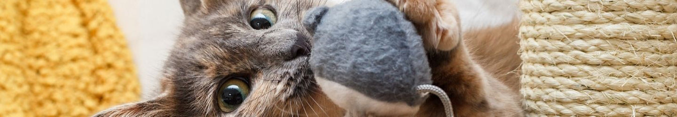Scratching toys for cats