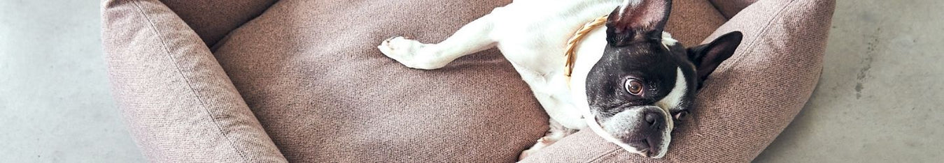 Dog beds and dog blankets