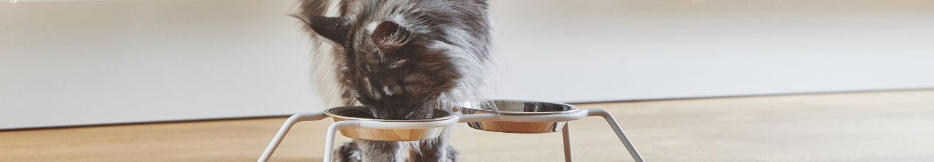 Dry cat food