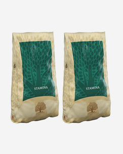 Essential Stamina - 2x10kg for active dogs