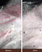 Skin Soother Skin Balm