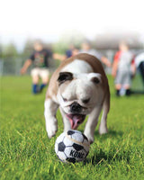 KONG Sports Ball