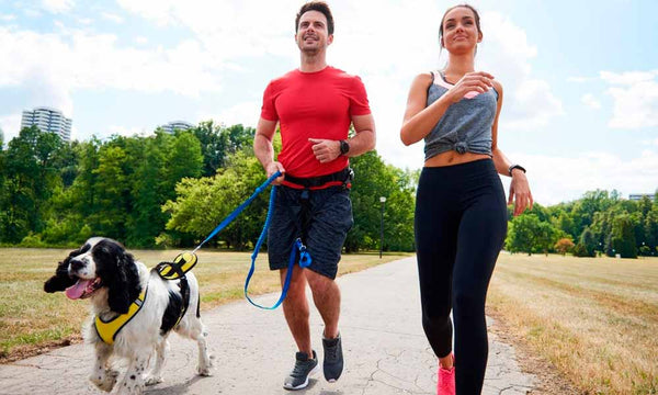 Dog running on leash