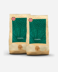 Essential Our finest - Stamina - 2x10kg for active dogs