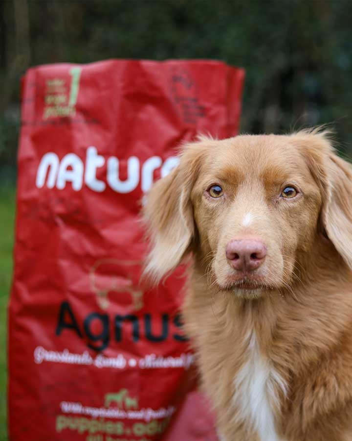 Naturea Agnus Dog Food