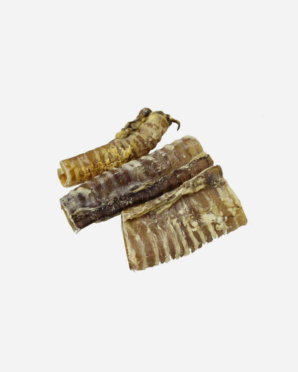 Tikki Beef Trachea in Pieces for dogs
