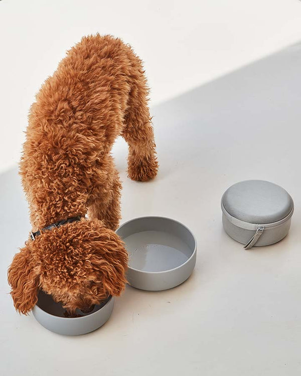 3 in 1 food and water bowl for dogs