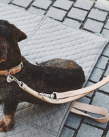 MiaCara Bergamo Dog Leash