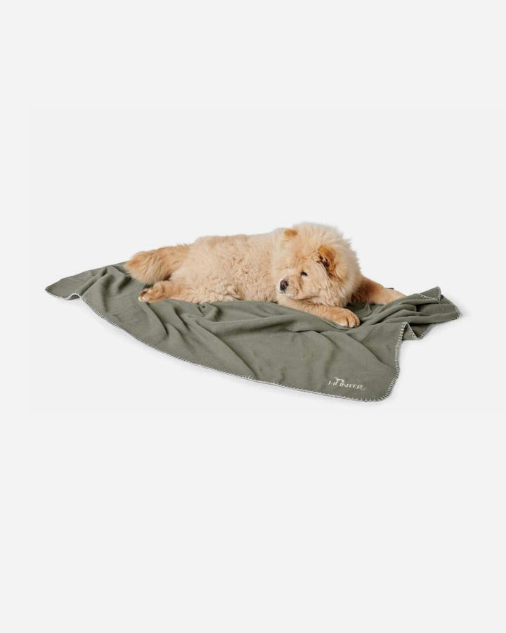 Green dog blanket