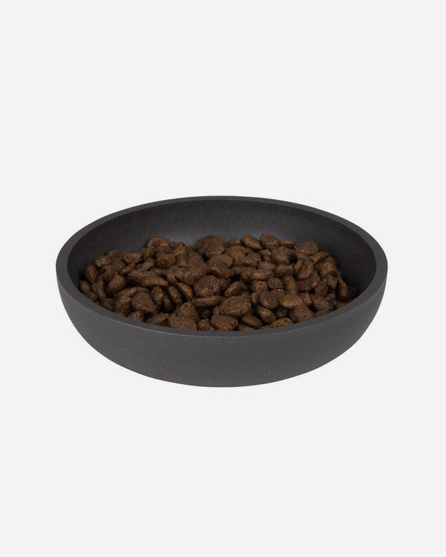 Cat bowl with dry kibble