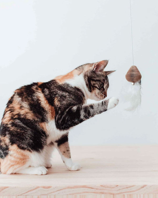 Stylish toy for cats