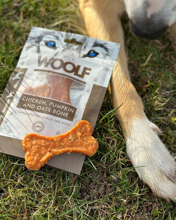 Woold Chicken Pumpkin and Oats Bone - dog treat