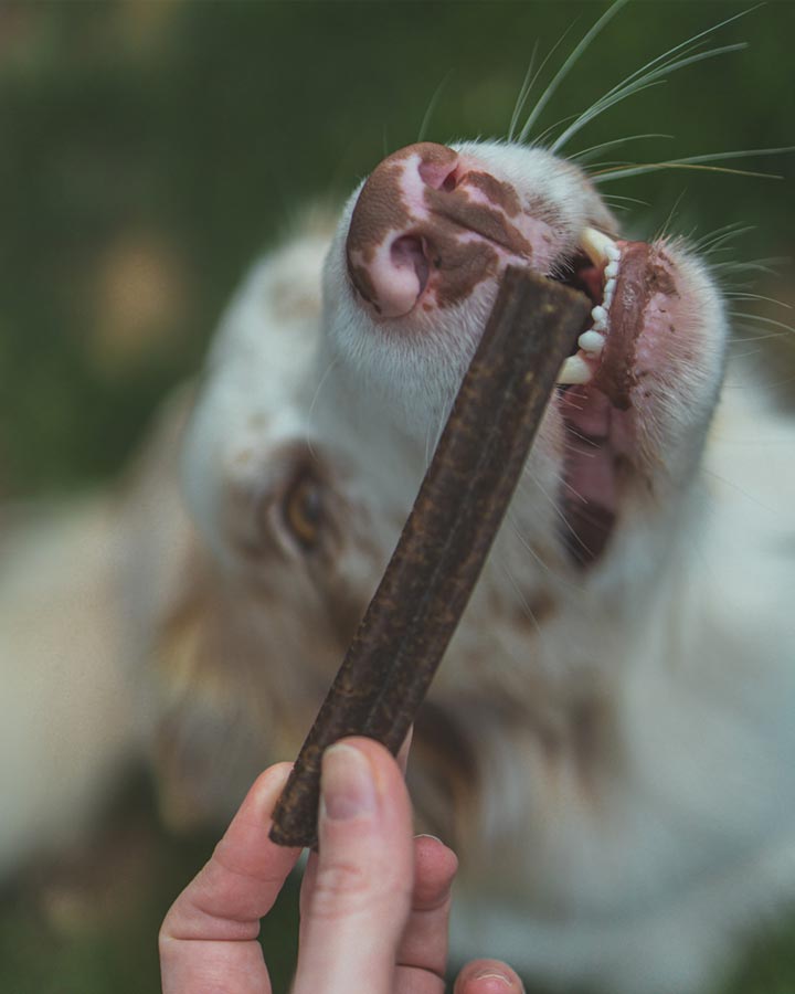 Naturea Dental Stick