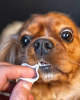 Disposable teeth wipes for dogs