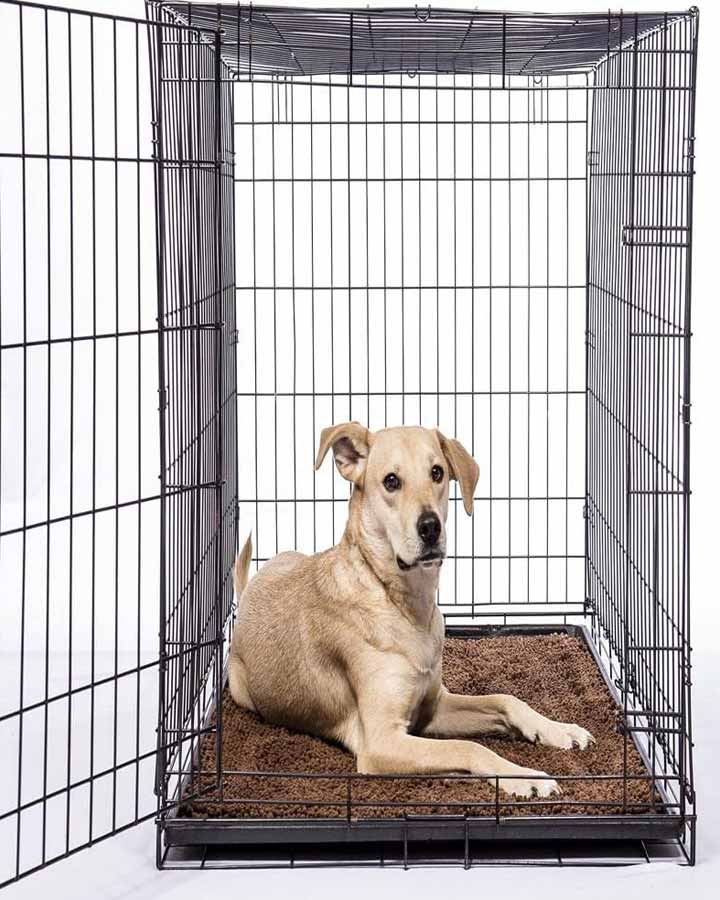 Brown mat for dog transport cage