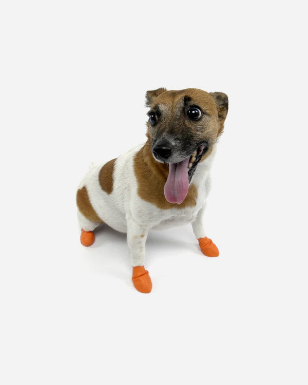 Dog Shoes - Rubber Booties