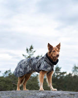 Dog wearing Paikka Recovery Raincoat - Camo