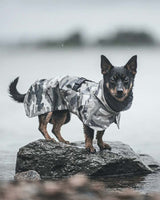 Small dog wearing Camo Paikka Recovery Raincoat