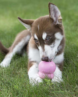 Puppy enjoying KONG Easy Treat