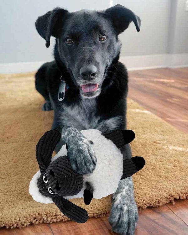 Dog toy with squeaker in the stomach