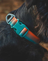 Ruffwear Front Range Dog Collar - Spring Fade