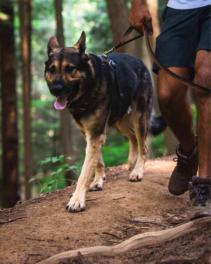 Ruffwear Front Range Dog Leash - Moonlight Fade