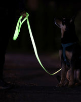 Ensure visibility during evening walks