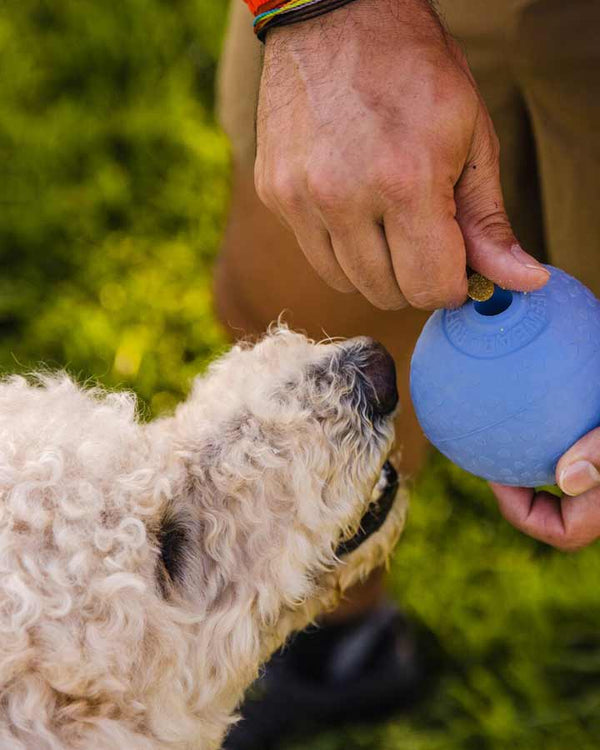 Huckama Treat Dispensing Dog Toy