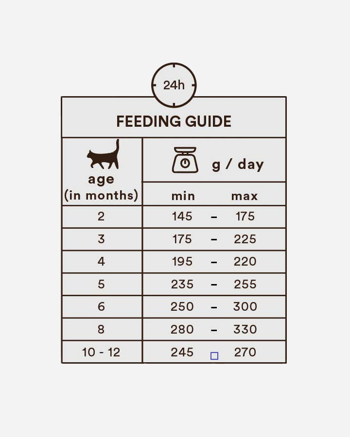 Monster Kitten Beef & Game Feeding Guide