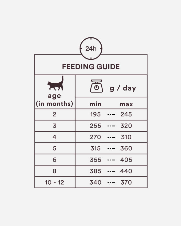 Monster Kitten Chicken & Turkey Feeding Guide