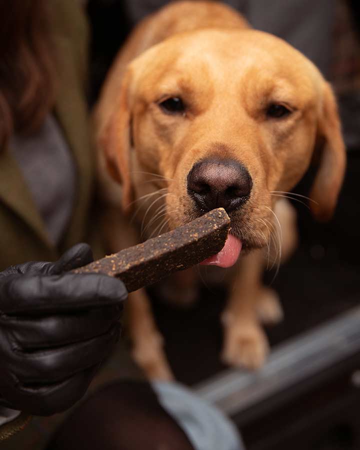 Lamb & Venison Bars for dogs