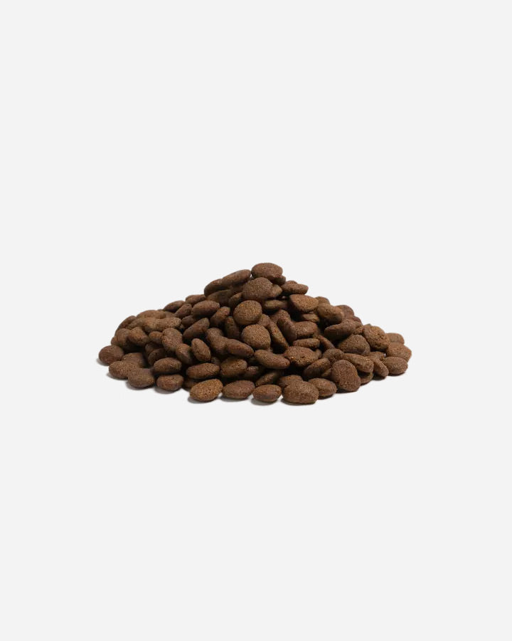 Essential Large Breed Puppy Kibble