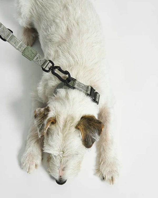 MiaCara Modena Dog Leash