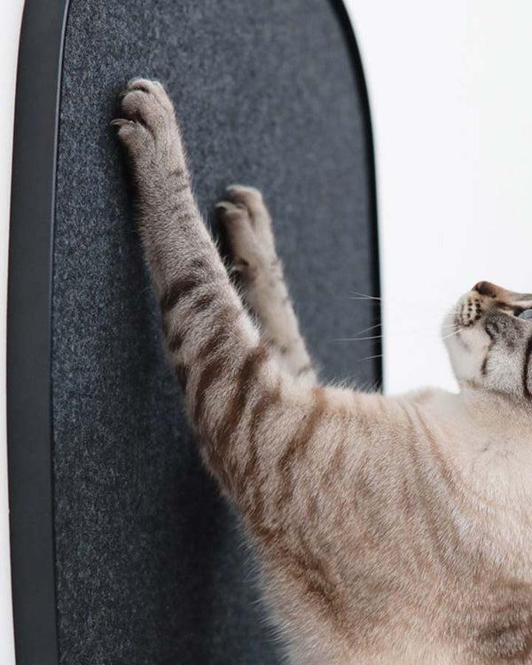 Cat scratching panel