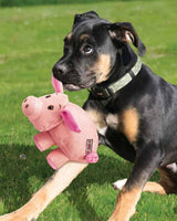 Pig dog toy