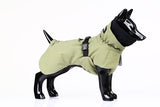 Paikka Recovery Winter Dog Coat - Green