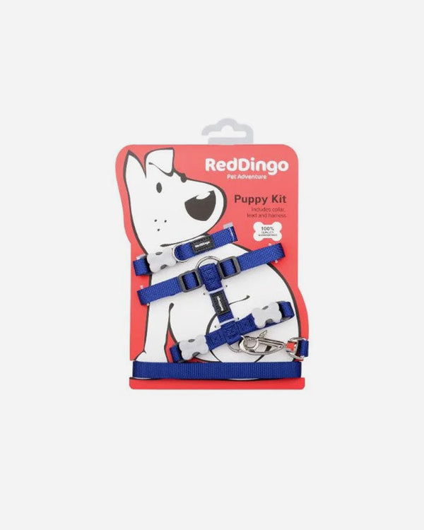 Puppy set - Red Dingo - Blue
