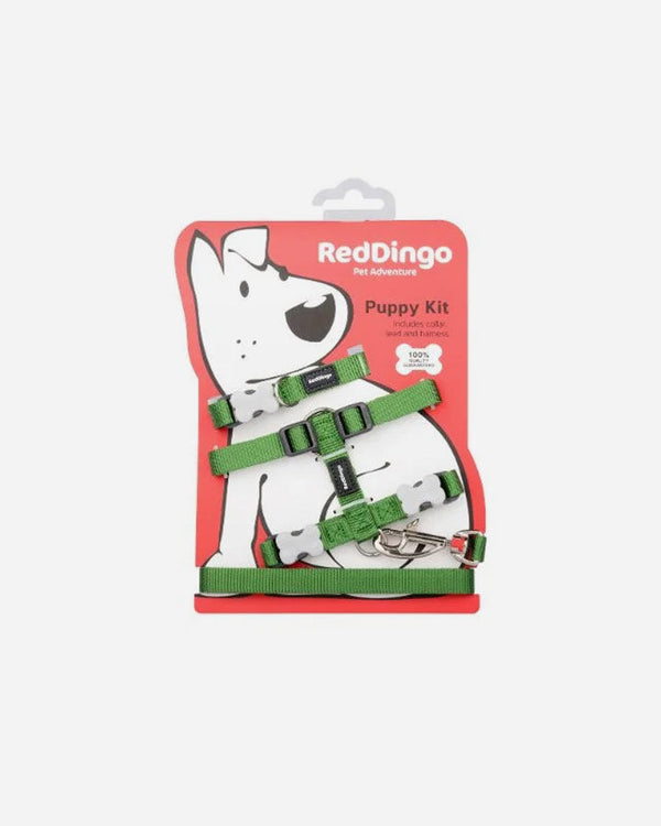 Puppy Set - Red Dingo - Green