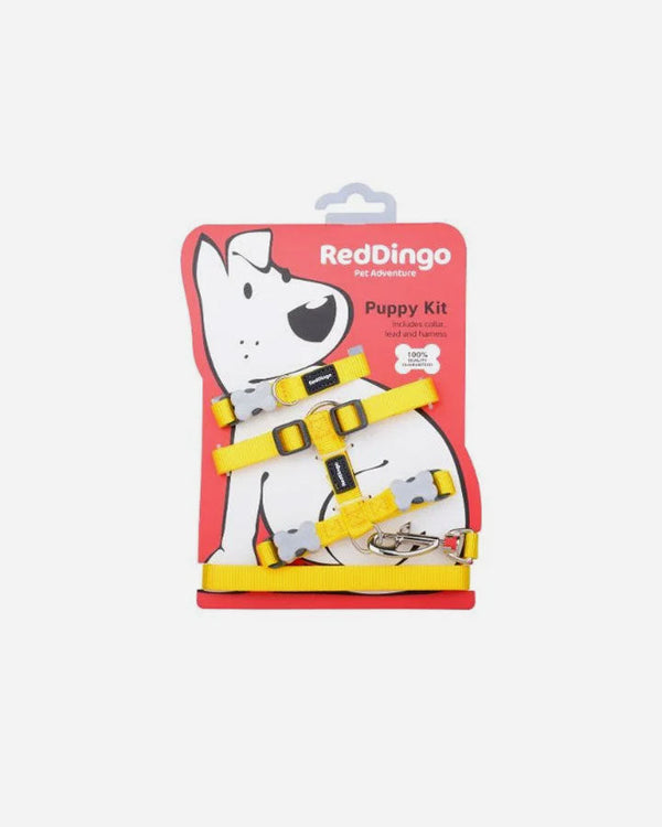 Puppy Set - Red Dingo - Yellow