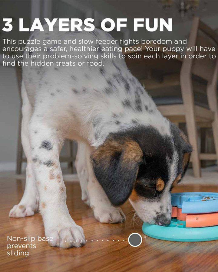 Activity games - puzzles for dogs