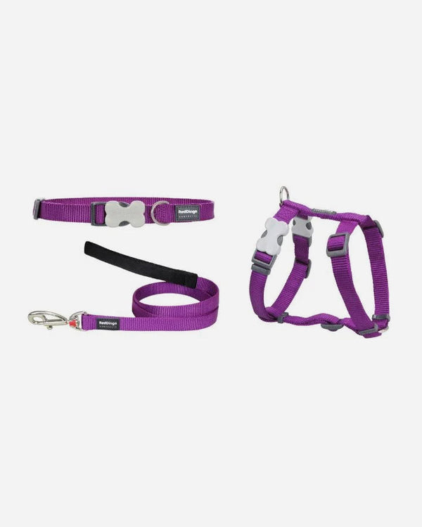 Red Dingo Puppy Kit - Purple
