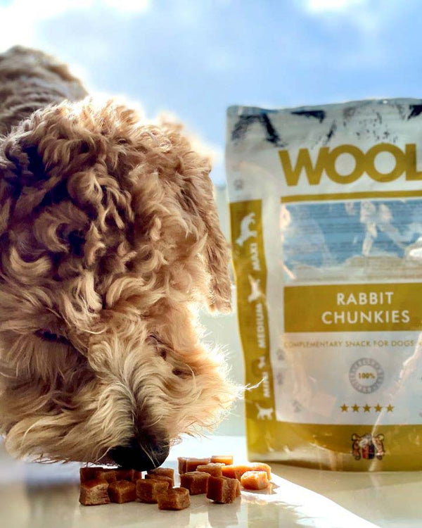 Dog eating Woolf Rabbit Chunkies