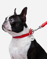Leather dog collar red
