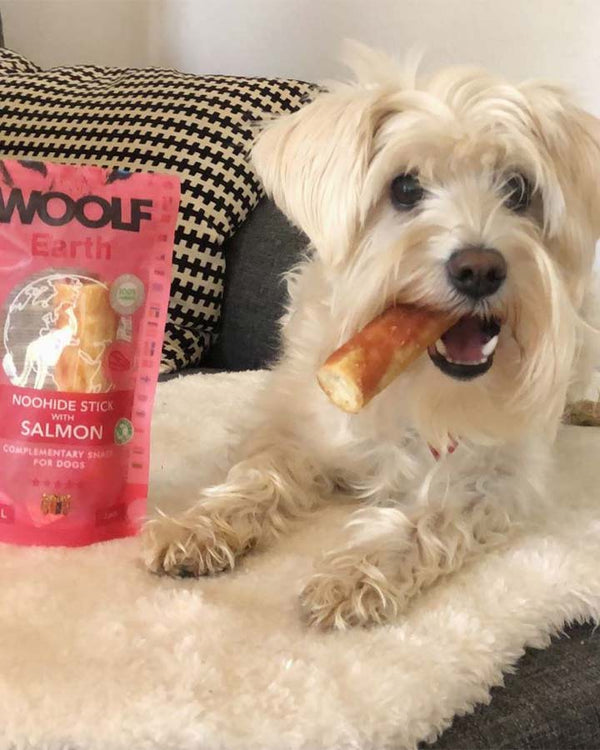 Woolf Noohide Stick with Salmon - Large dog snack