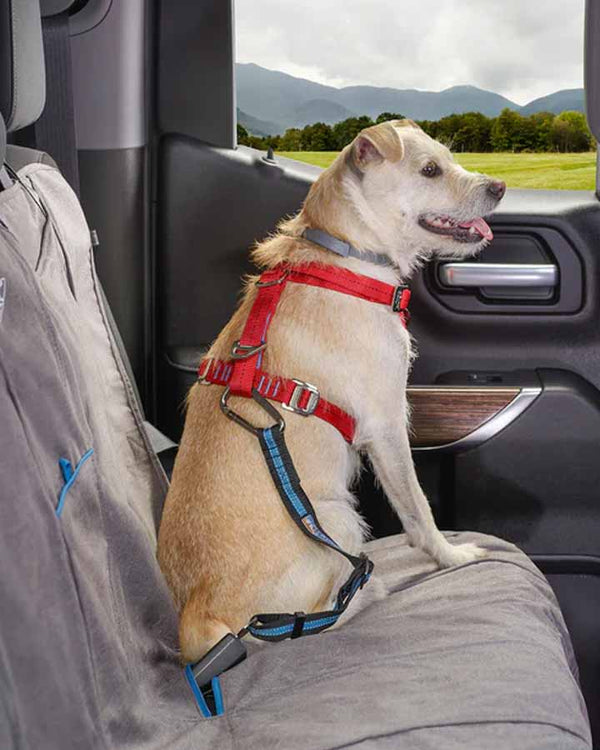 Kurgo Direct to Seatbelt Dog Tether