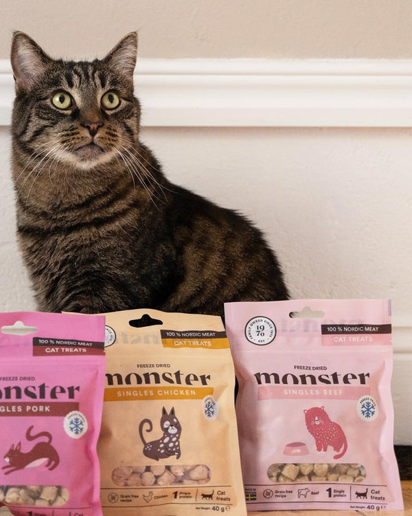 Monster - Freeze-dried Treats with Beef - for cats - Monster - Petlux