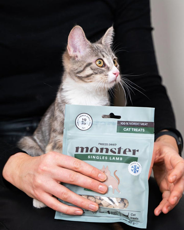 Monster - Freeze-dried treats with Lamb - for cats  - Monster - Petlux