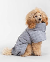 Small dog wearing Grey Paikka Drysuit Spa