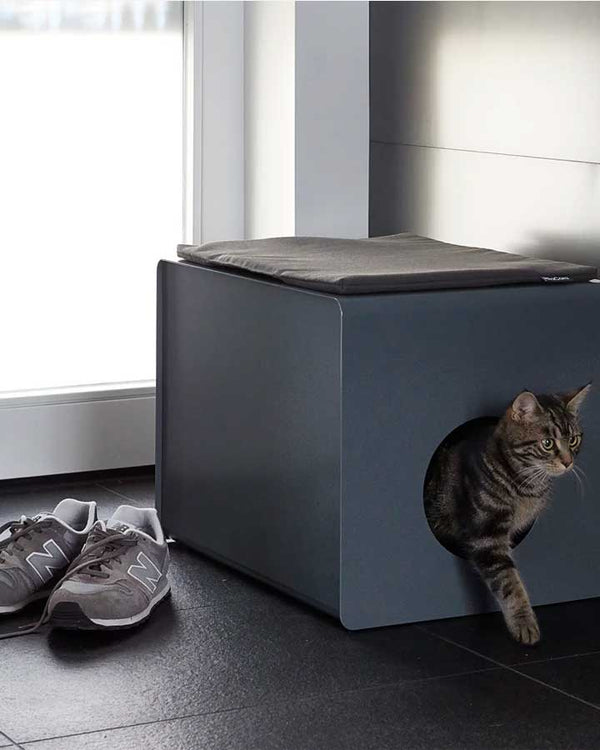 Stella Cushion on Sito Box