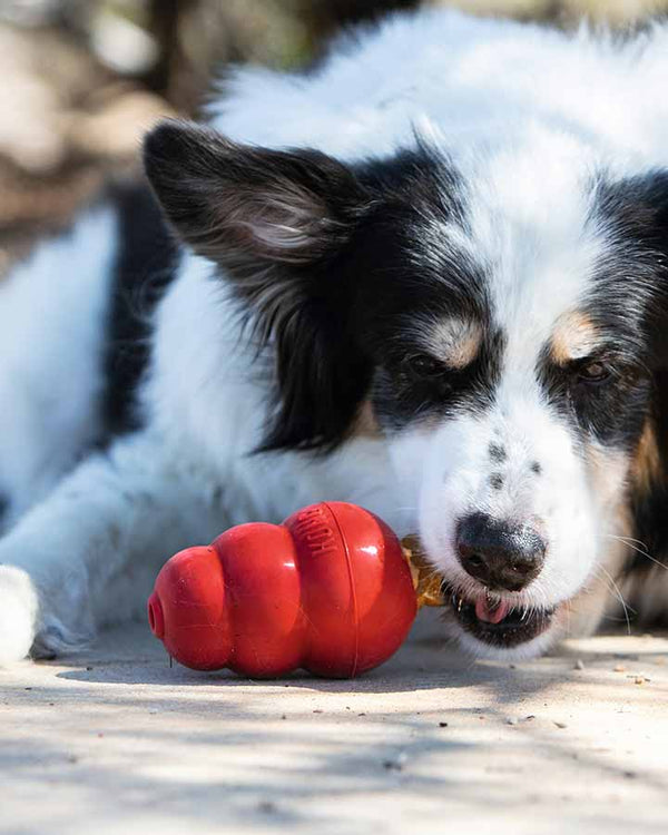 KONG Stuff`n Liver - dog snack